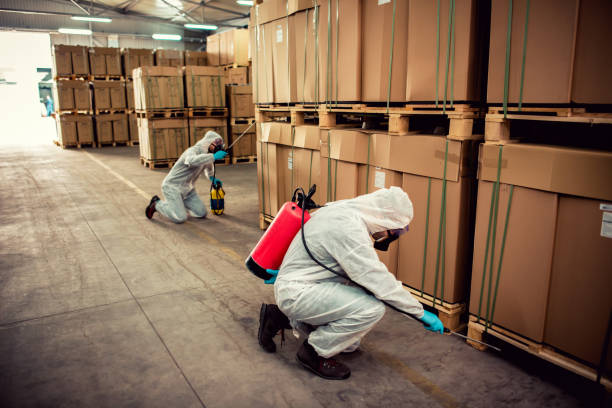 Best Termite Control Services  in Whitaker, PA