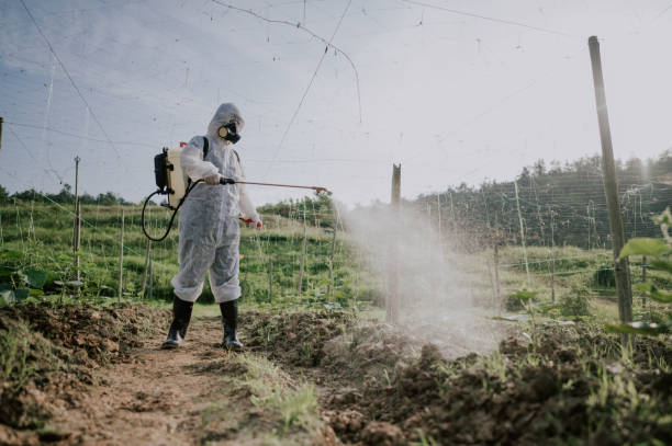 Best Affordable Pest Control Services  in Whitaker, PA