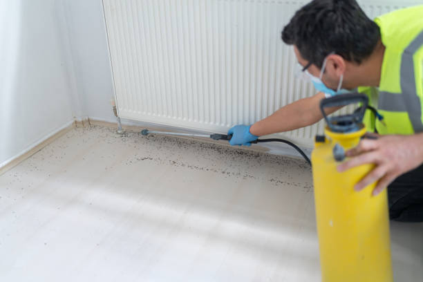 Best Ant Control Services  in Whitaker, PA