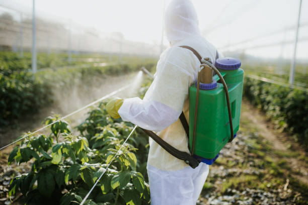 Professional Pest Control in Whitaker, PA